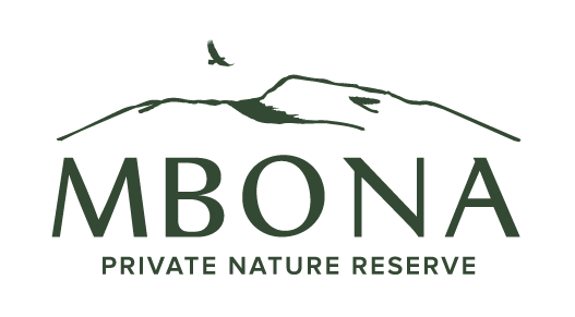 mbona_logo_transparent