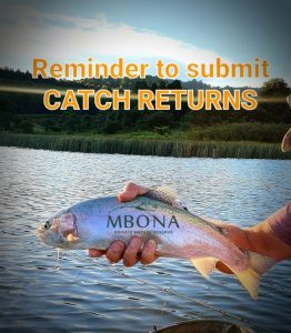 catch return resize catch return resize