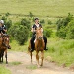 horse-riding-300x200 horse-riding-300x200