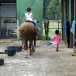 riding-lessons-300x200 riding-lessons-300x200